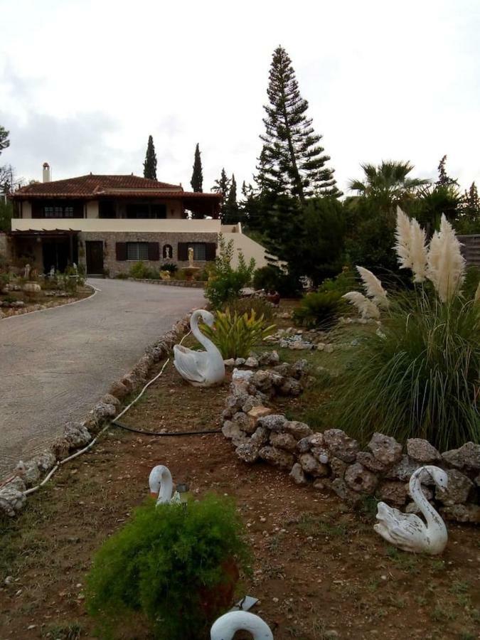 Villa Rita - Porto Heli Exterior photo